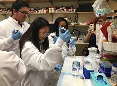 Young adults in a science lab working