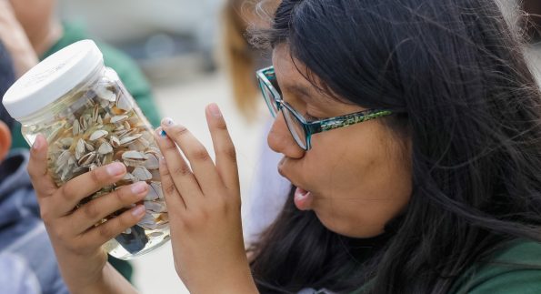 Student observing shells at Birch Aquarium at Scripps Institution of Oceanography